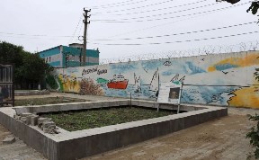 Общество