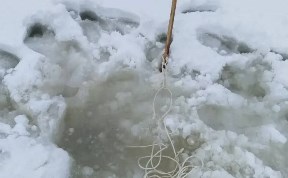 Происшествия