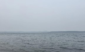 Общество
