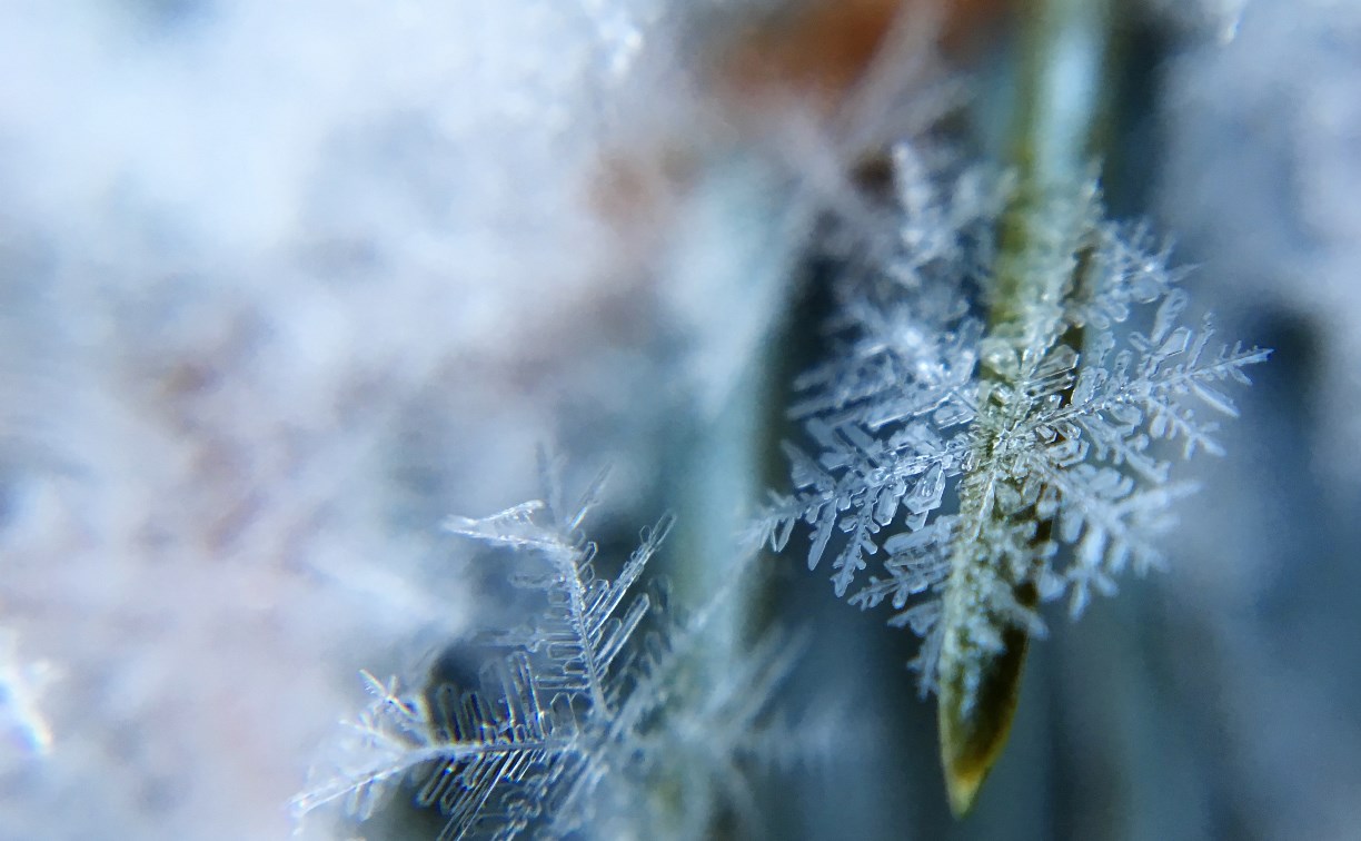 Снег и до -7 градусов ночью: прогноз погоды в Сахалинской области 12 ноября