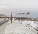 Жители Новотроицкого против строительства центра для бездомных животных в их селе