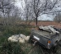 Сахалинца будут судить за незаконный вылов 13,5 тысячи корюшек