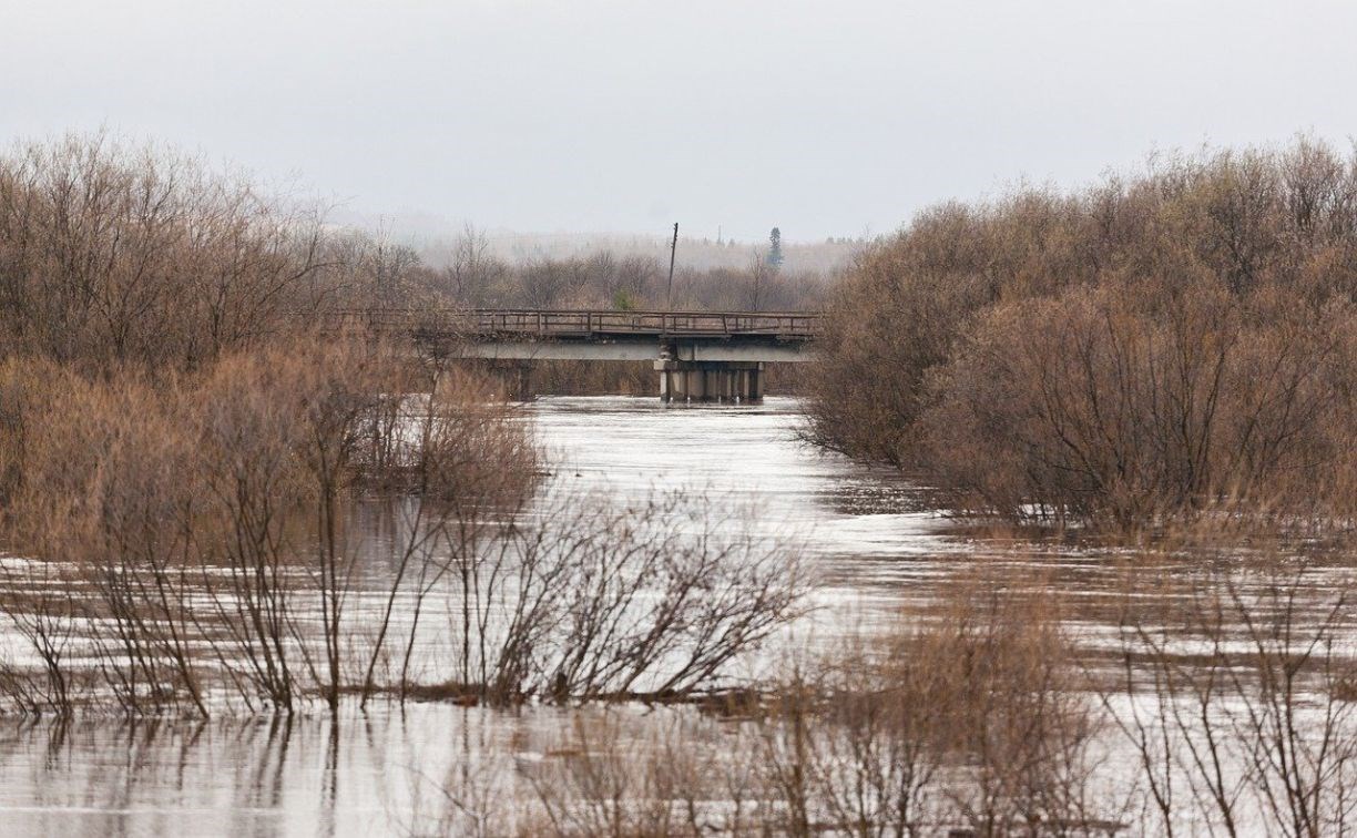 МЧС: уровень воды в реке Тымь опасно повысился
