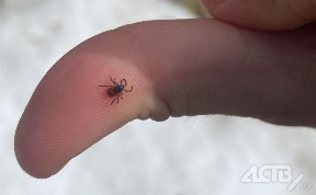 Общество