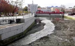 Общество