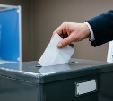 Владимир Розумейко: «Голосование пройдёт в рамках закона, и мы получим работоспособную думу»