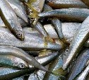 Жареную корюшку предложили признать нематериальным культурным наследием России
