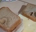 Камень приличных размеров нашли сахалинцы в хлебе
