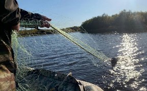 Общество