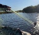 Сетки на реке у Тунайчи: Росрыболовство начало проверку после жалоб сахалинцев в соцсетях