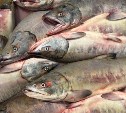 Где купить свежую и вкусную кету в Южно-Сахалинске по доступной цене — список адресов