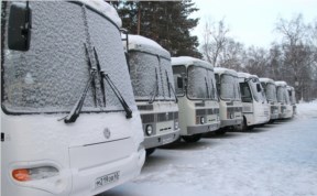 Общество