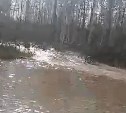 Цветы плывут с кладбища на дорогу в Ясном