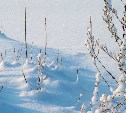 Тёплая ночь, ветреный день: прогноз погоды в Сахалинской области на 12 марта