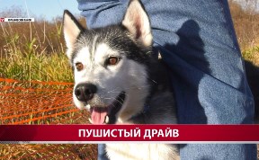 Общество