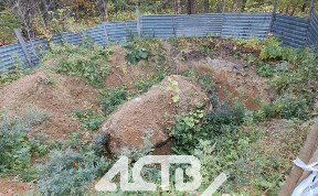 Общество