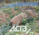 "Приехали посмотреть, а там – яма": в районе Охотского исчезла японская стела