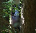 Онанист случайно попал в объектив фотографа в парке Южно-Сахалинска