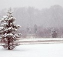 Снежный циклон надвигается на Сахалин