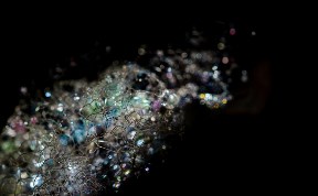 Происшествия