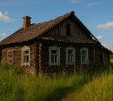 Участок могут отобрать: 1 сентября вступят в силу критерии для признания земли заброшенной