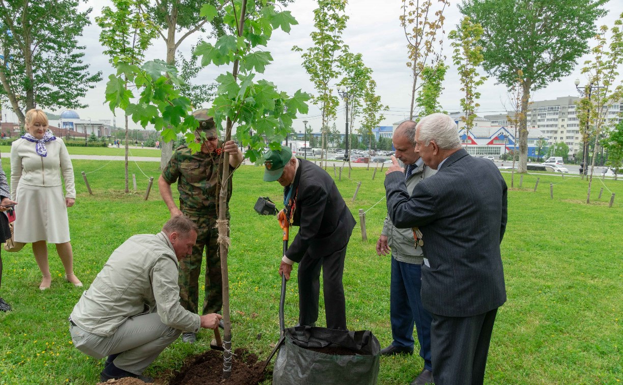 В "Саду памяти" в Южно-Сахалинске посадили 76-е дерево