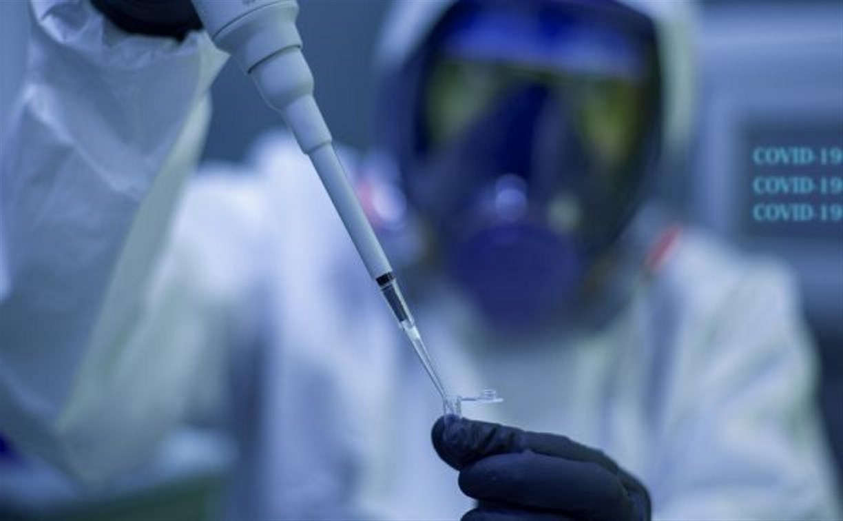 Все российские больницы предложили снабдить экспресс-тестами на COVID и грипп