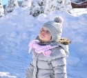 Воздух на юге Сахалина прогреется до +8 градусов