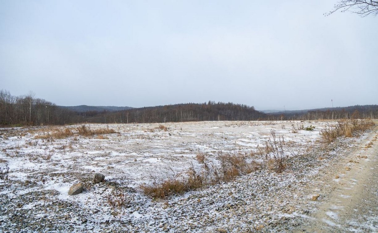 На "Ласточке" открыли новый участок, в Лиственничном ограничивают захоронения