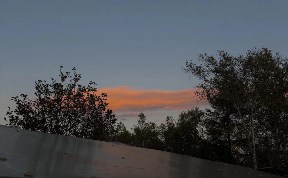 Общество
