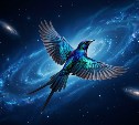 Гороскоп на 5 августа: Овнов ждёт финансовый квест, а Львы будут сиять ярче солнца