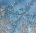 Морозное утро и пасмурный день: прогноз погоды в Сахалинской области на 21 января