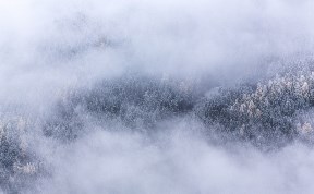 Происшествия