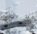 "Таскают корюшку мешками": сахалинские рыбаки перекочевали на лёд озера Изменчивого