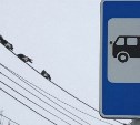 В Южно-Сахалинске запускают новый сезонный автобусный маршрут 