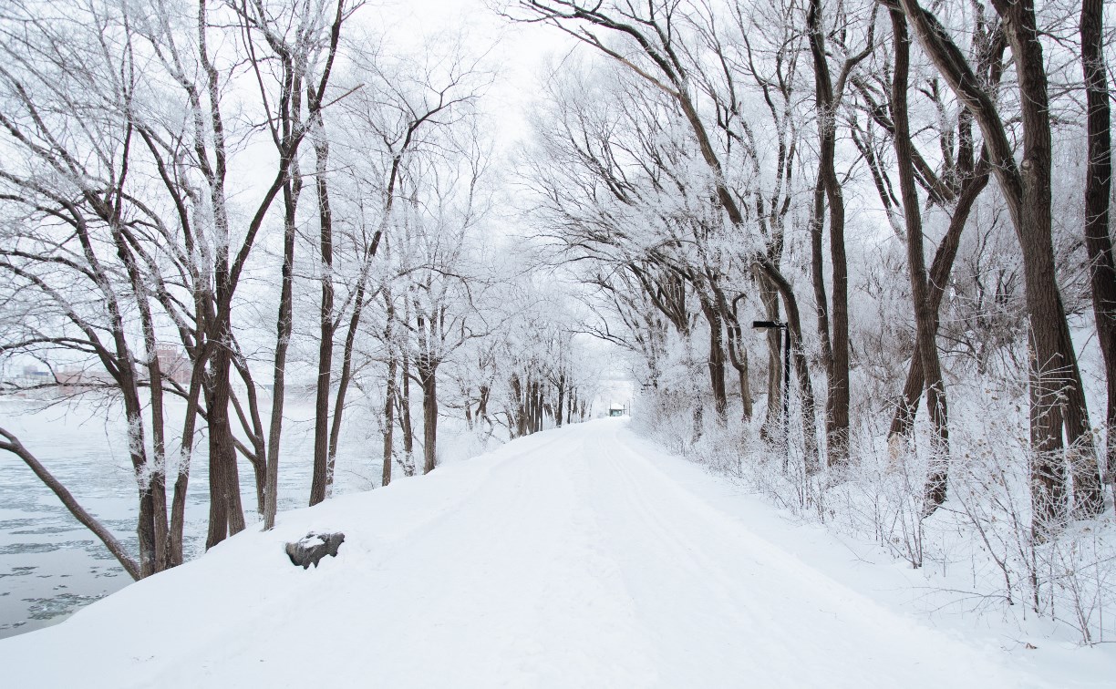 Ноябрь на Сахалине закончится метелью - прогноз погоды в островном регионе на неделю