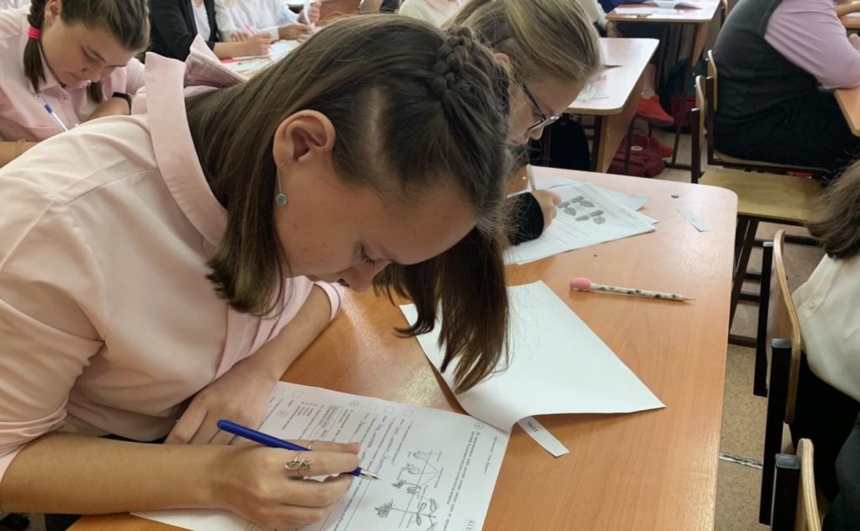 ВПР в школах России перенесли на осень 2022 года