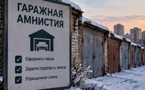 Общество