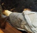 Восемь человек эвакуировали из-за пожара в пятиэтажке в Южно-Сахалинске