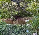 Тело мужчины нашли в лесу в районе Озерского 
