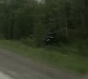 Subaru "спрятали" в лесочке на юге Сахалина