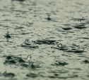 Гидрометцентр РФ сообщил о мощном дожде и грозе в Сахалинской области 
