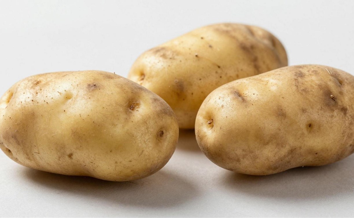 Проект по выращиванию отечественного картофеля на семена запустили в Сахалинской области 