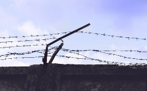 Происшествия