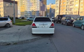 Общество