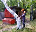 Сахалинские спасатели расчищают ЛЭП, поврежденные во время циклона в Приморье
