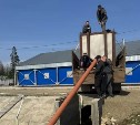 Молодь горбуши отправилась в свободное плавание в Поронайском районе