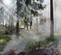 МЧС предупреждает: в ближайшие дни Смирныховскому району грозит пожароопасность