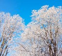 Ясно и до нуля градусов: прогноз погоды в Сахалинской области на 24 февраля