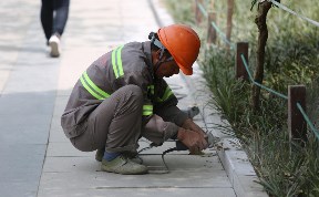 Общество